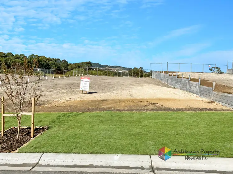 LOT Lot, 217 Tulipwood Avenue, Edgeworth NSW 2285