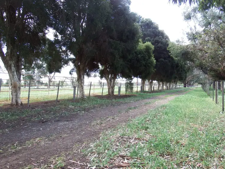 Sixth view of Homely rural property listing, 755 Doyles Road, Kialla VIC 3631