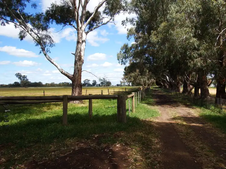 Seventh view of Homely rural property listing, 755 Doyles Road, Kialla VIC 3631