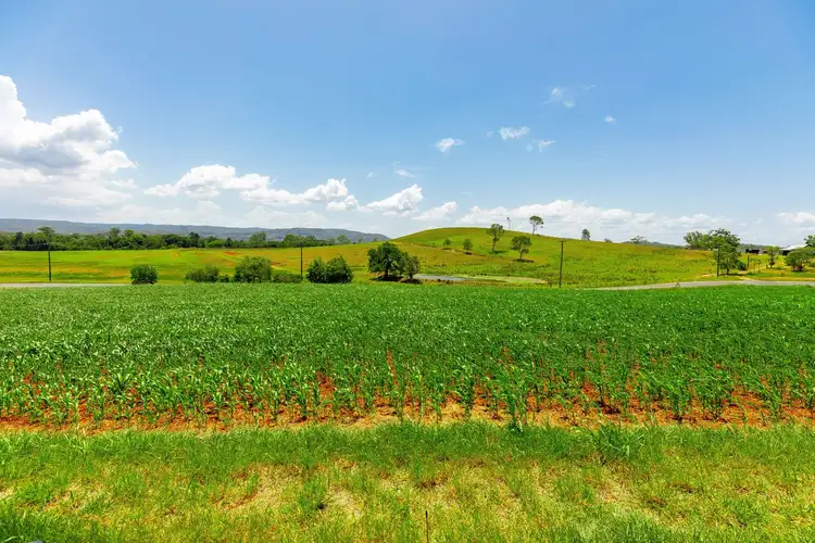 Fifth view of Homely rural property listing, Lot 1/136 North Arm Yandina Creek Road, North Arm QLD 4561