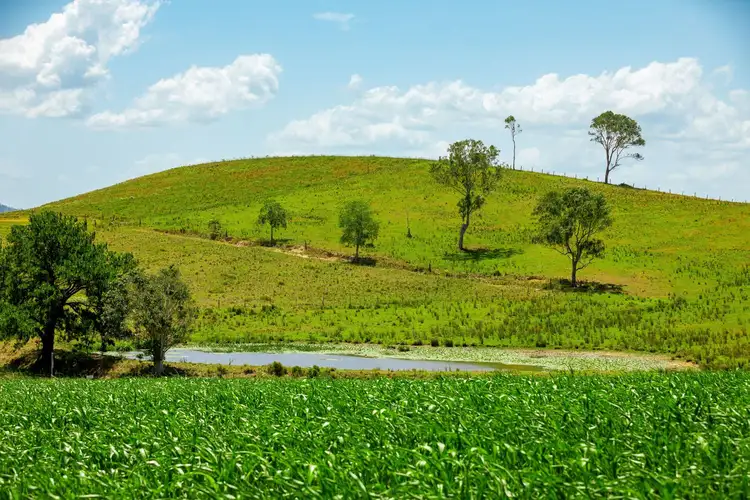 Sixth view of Homely rural property listing, Lot 1/136 North Arm Yandina Creek Road, North Arm QLD 4561
