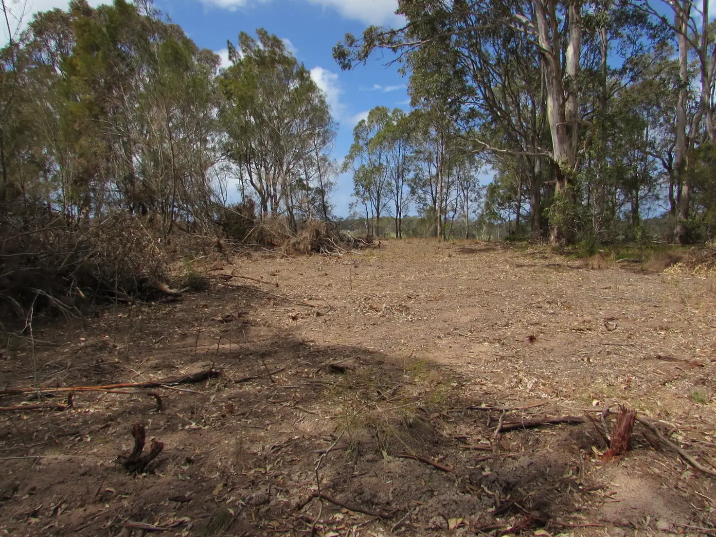 Main view of Homely land listing, LOT Lot 13, Section 4 Caswell Street, Moruya NSW 2537