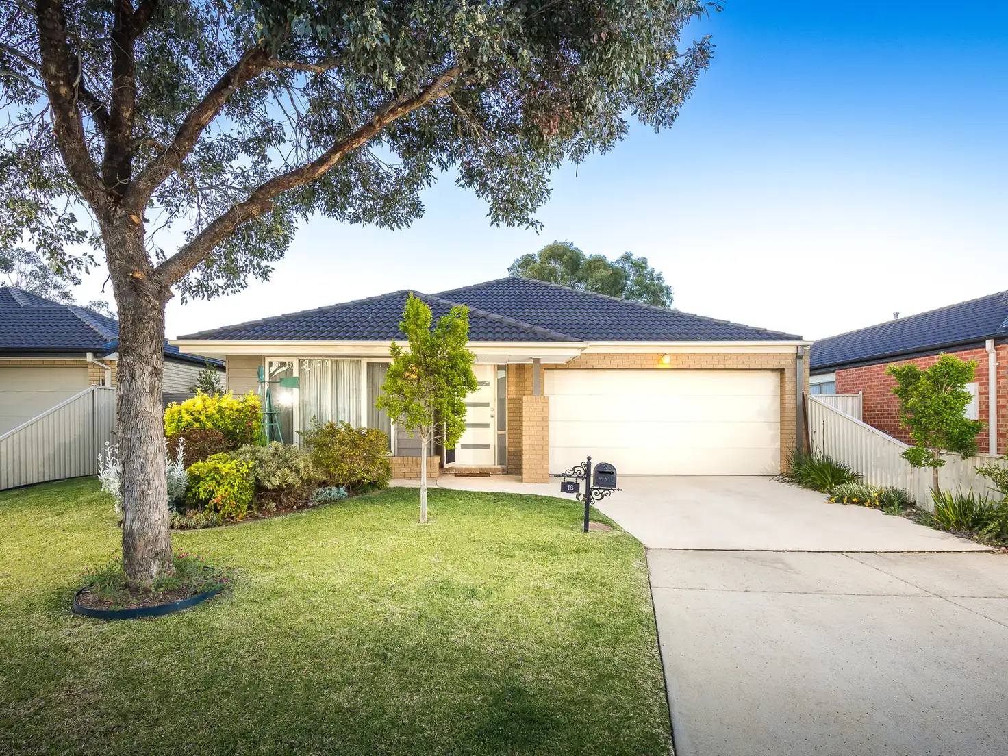 Main view of Homely house listing, 16 Greybox Way, Kialla VIC 3631
