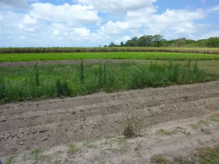 Sixth view of Homely rural property listing, Lot/1 Stevens Drive, Homebush QLD 4740