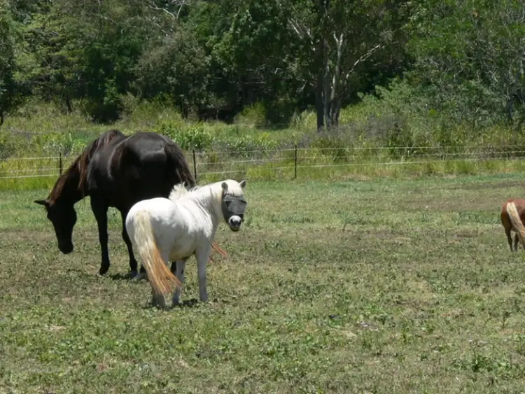 Fourth view of Homely land listing, LOT 14, 105 Telford Road, Strathdickie QLD 4800