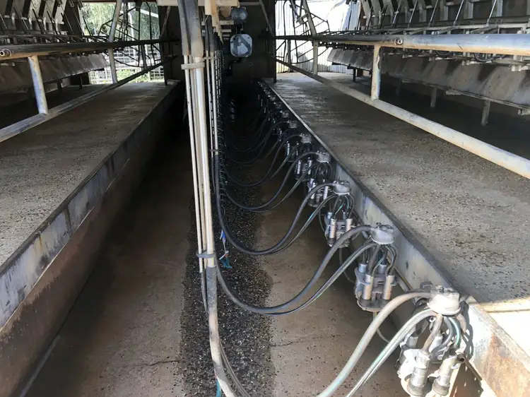 Seventh view of Homely rural property listing, Address available on request