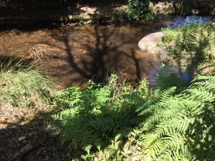 3 Ballina Court, Buxton VIC 3711