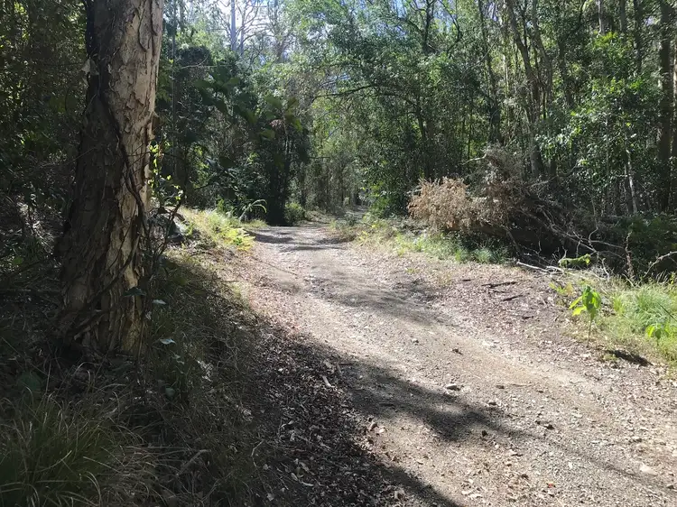 Main view of Homely rural property listing, 912 Manning Hill Road, Bunyah NSW 2429