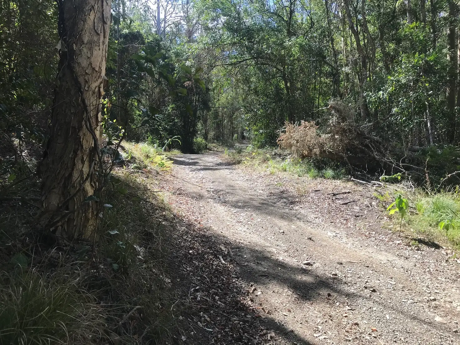 Main view of Homely rural property listing, 912 Manning Hill Road, Bunyah NSW 2429