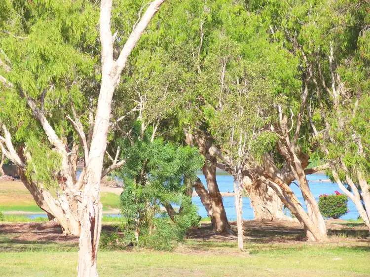 Fifth view of Homely house listing, 126 Herbert Street, Bowen QLD 4805