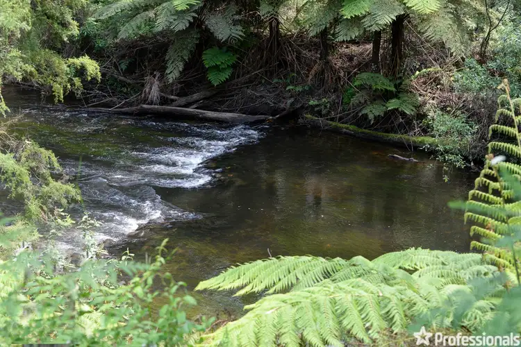 Main view of Homely house listing, 457 Woods Point Road, East Warburton VIC 3799