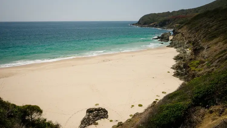 Fifth view of Homely house listing, 41 Burgess Road, Forster NSW 2428