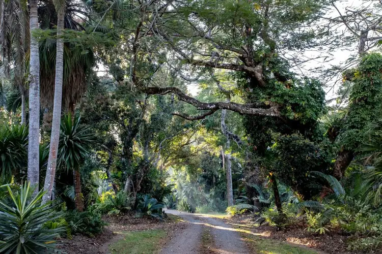 Fourth view of Homely house listing, 121 Douglas Track, Speewah QLD 4881