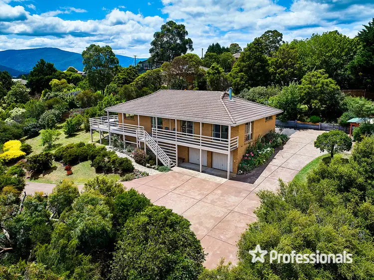 Main view of Homely house listing, 19 Alan Grove, Woori Yallock VIC 3139