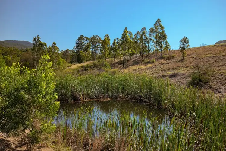 Third view of Homely rural property listing, Lot 6/1848 Glen Ayr, Road, Girvan NSW 2425
