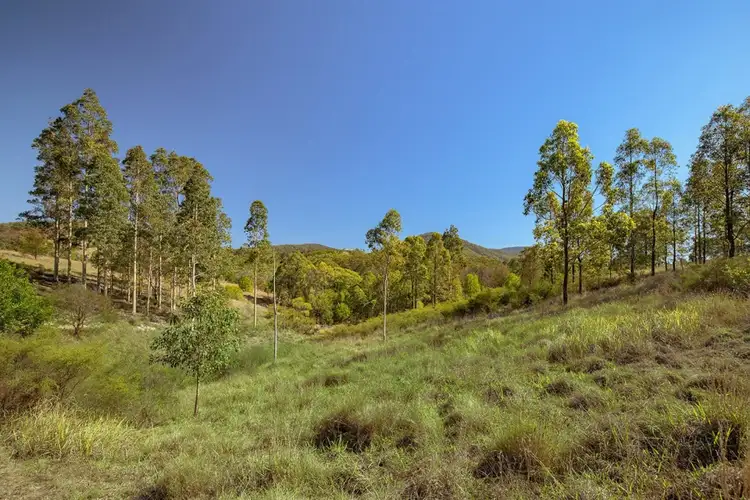 Seventh view of Homely rural property listing, Lot 6/1848 Glen Ayr, Road, Girvan NSW 2425