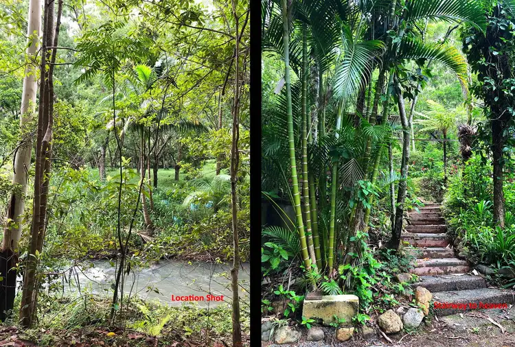 Fifth view of Homely rural property listing, 1304 Main Arm Road, Main Arm NSW 2482