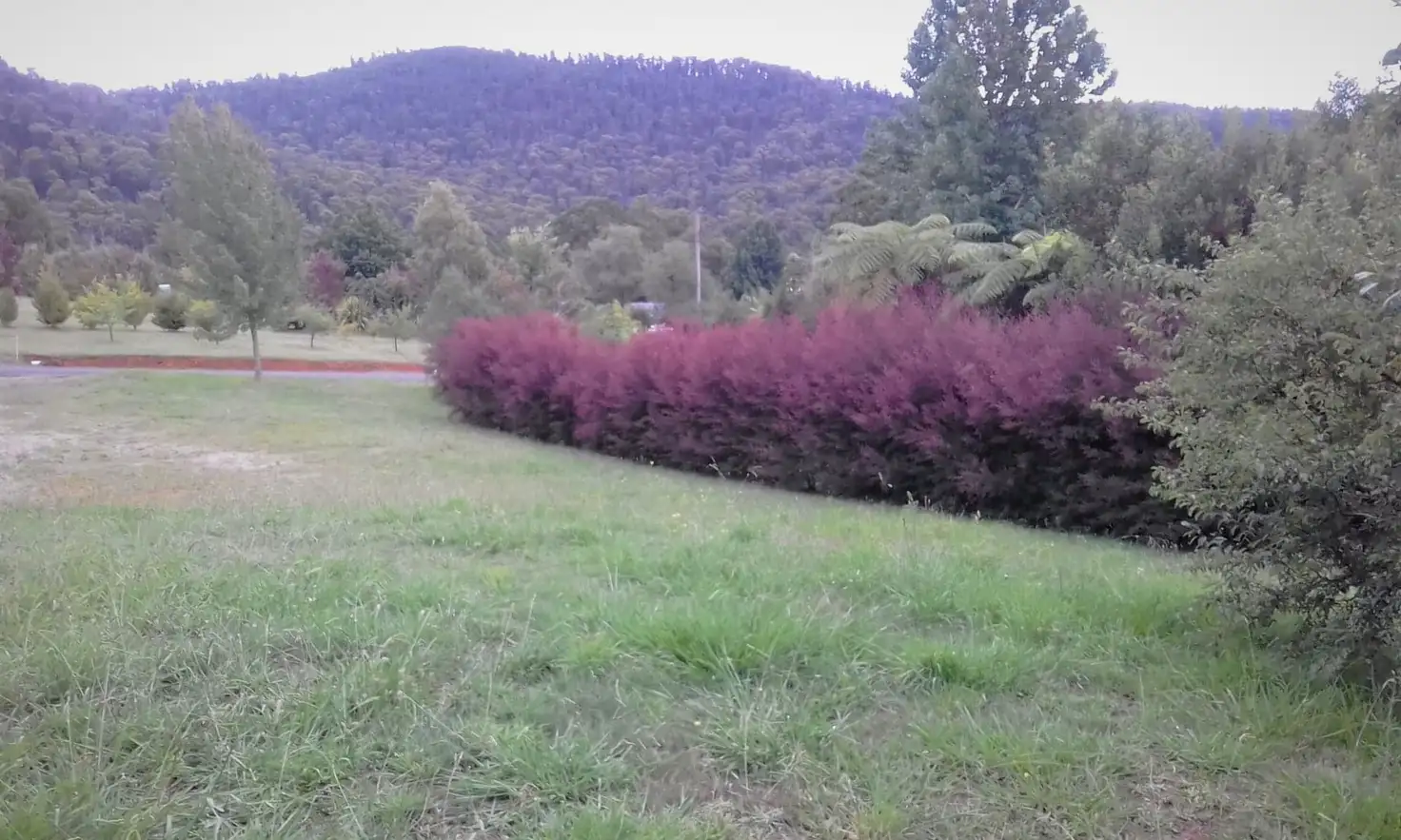 Main view of Homely land listing, 9 Old Melbourne Road, Marysville VIC 3779
