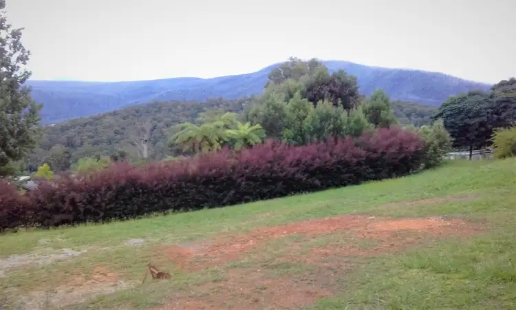 Second view of Homely land listing, 9 Old Melbourne Road, Marysville VIC 3779