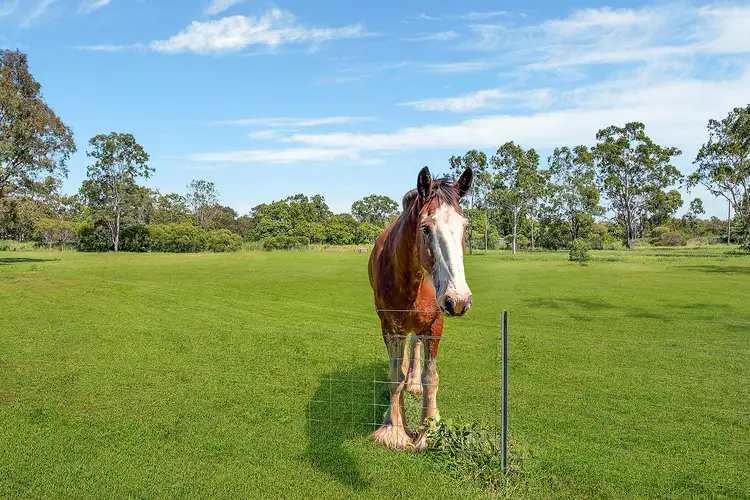 Fifth view of Homely house listing, 25 Tookers Street, Cawarral QLD 4702