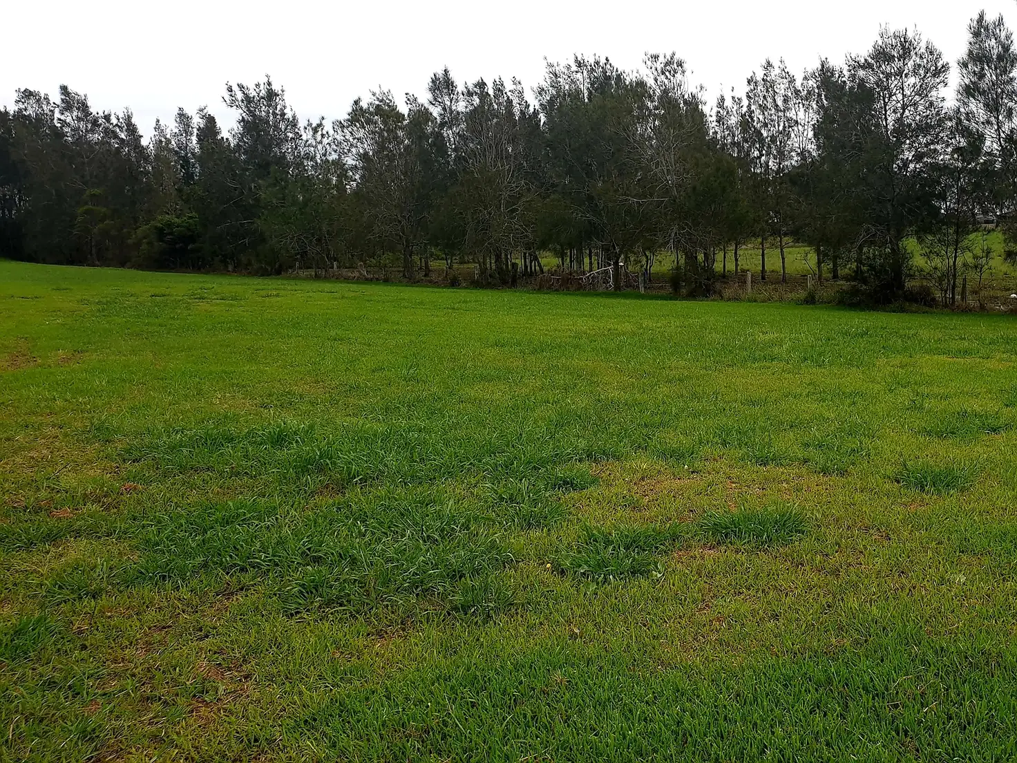 Main view of Homely land listing, 152 The Southern Parkway, Forster NSW 2428
