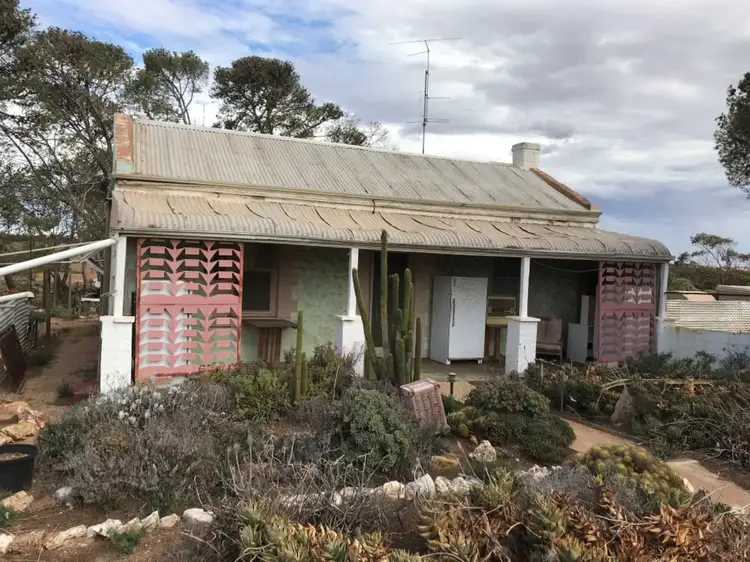 Main view of Homely rural property listing, 224 Railway Terrace, Sutherlands SA 5374