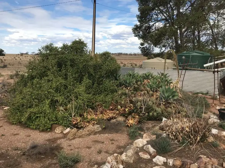 Second view of Homely rural property listing, 224 Railway Terrace, Sutherlands SA 5374