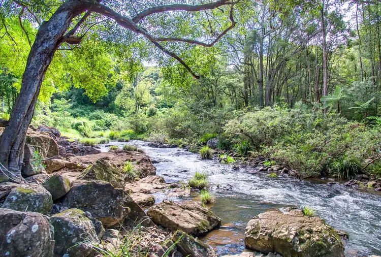 Fifth view of Homely house listing, 35A Blackbean Road, Wilsons Creek NSW 2482