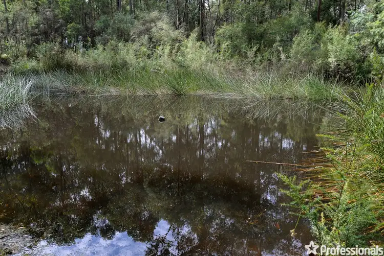 Sixth view of Homely house listing, 685 Lusatia Park Road, Hoddles Creek VIC 3139