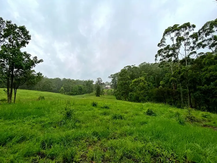 Fourth view of Homely rural property listing, 884 Newmans Road, Wootton NSW 2423