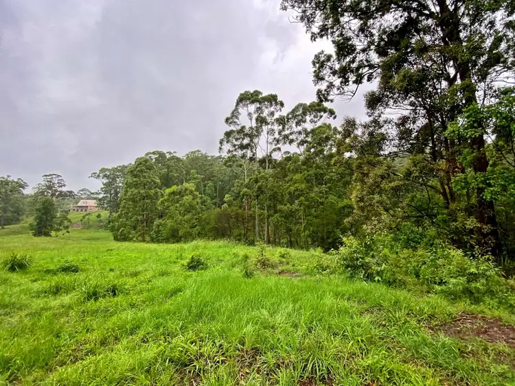 Fifth view of Homely rural property listing, 884 Newmans Road, Wootton NSW 2423