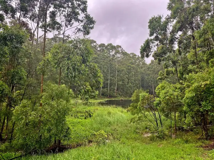 Sixth view of Homely rural property listing, 884 Newmans Road, Wootton NSW 2423