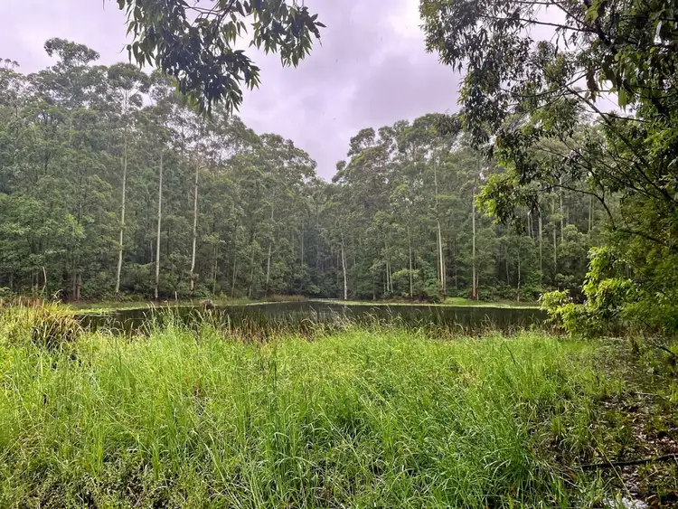 Seventh view of Homely rural property listing, 884 Newmans Road, Wootton NSW 2423