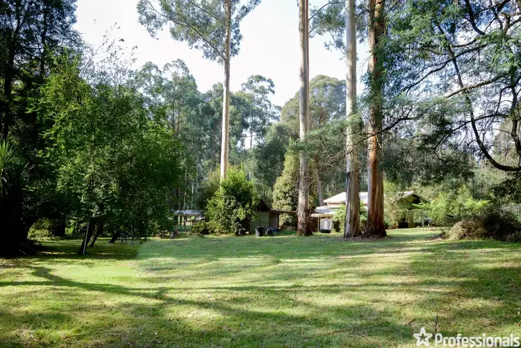 230 Big Pats Creek Road, Big Pats Creek VIC 3799