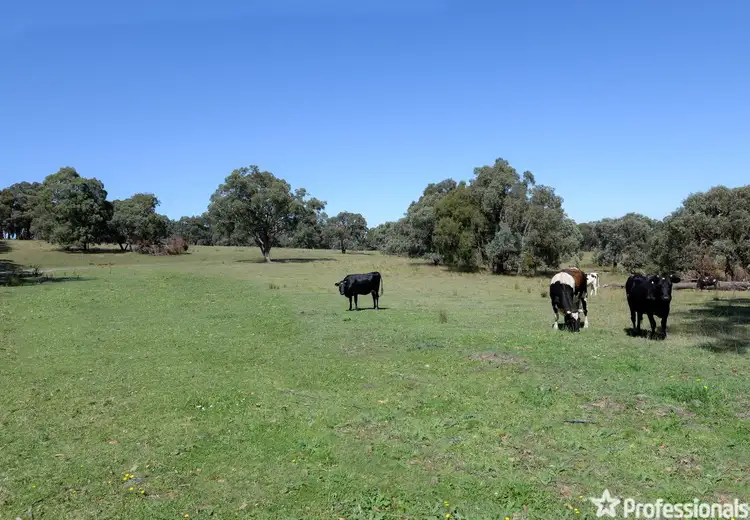 Second view of Homely land listing, 385 Sheepstation Creek Road, Yellingbo VIC 3139
