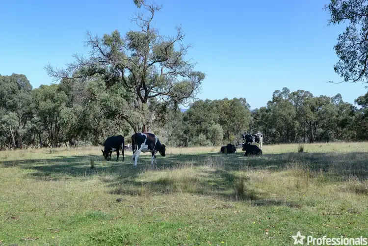 Sixth view of Homely land listing, 385 Sheepstation Creek Road, Yellingbo VIC 3139
