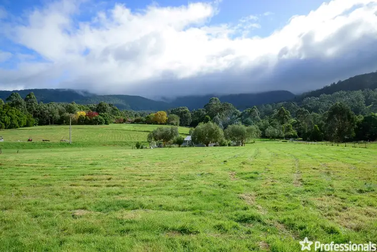 Fourth view of Homely house listing, 15 Sherriff Close, Millgrove VIC 3799