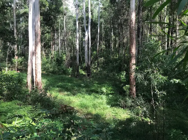 Second view of Homely rural property listing, 179 Muxlows Road, Wootton NSW 2423
