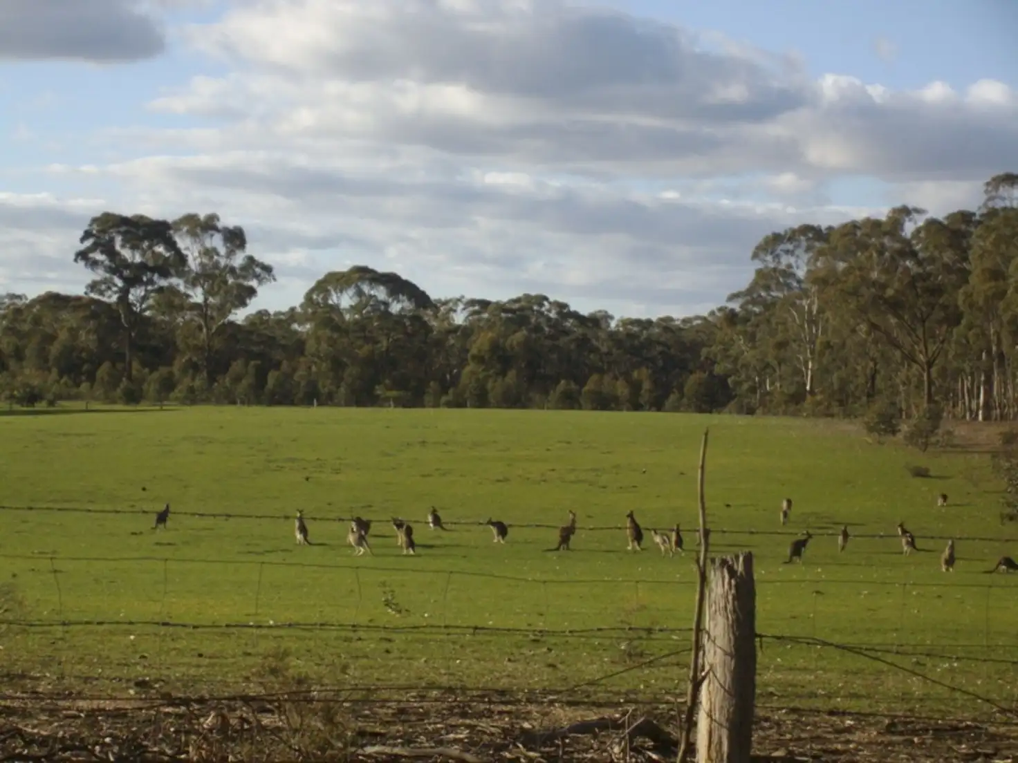 Main view of Homely land listing, 3 Pidgeon Gully Road, Maryborough VIC 3465