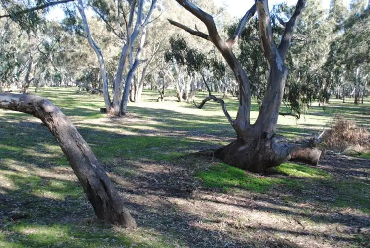 Main view of Homely rural property listing, 134 Bet Bet Creek Road, Betley VIC 3472