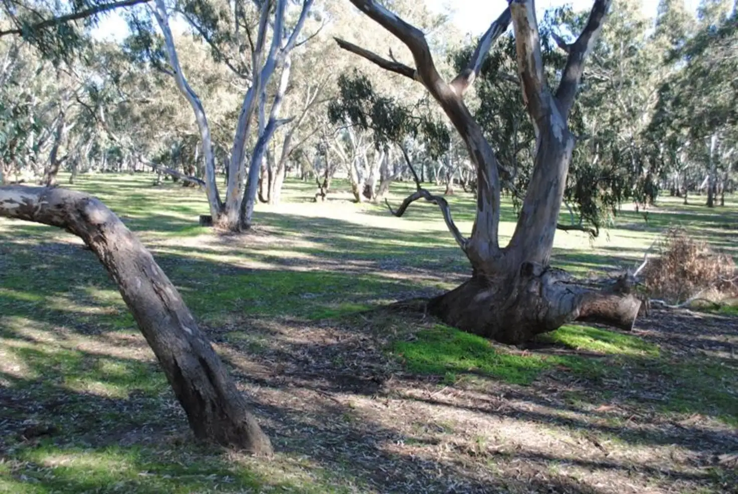 Main view of Homely rural property listing, 134 Bet Bet Creek Road, Betley VIC 3472