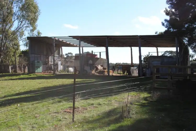 Fourth view of Homely rural property listing, 134 Bet Bet Creek Road, Betley VIC 3472
