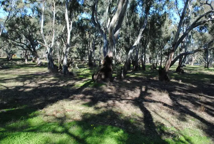Fifth view of Homely rural property listing, 134 Bet Bet Creek Road, Betley VIC 3472