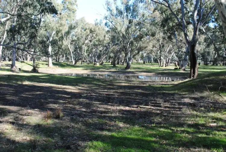 Sixth view of Homely rural property listing, 134 Bet Bet Creek Road, Betley VIC 3472