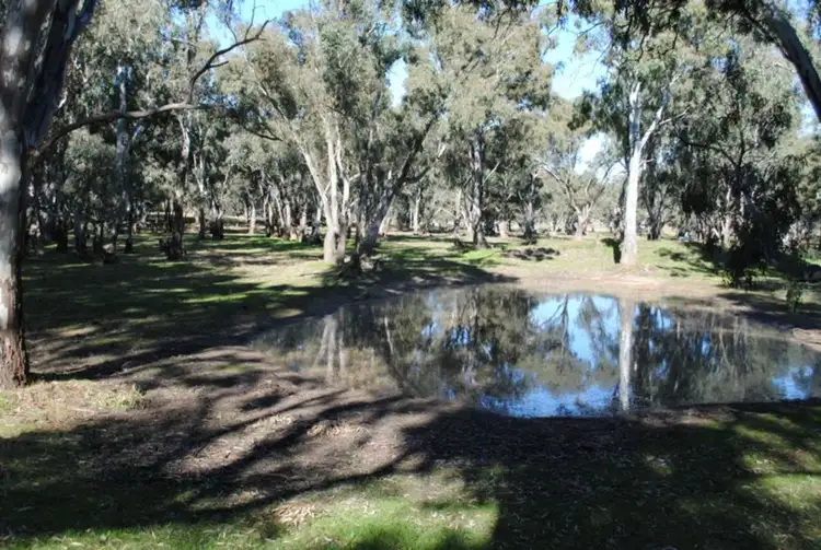 Seventh view of Homely rural property listing, 134 Bet Bet Creek Road, Betley VIC 3472