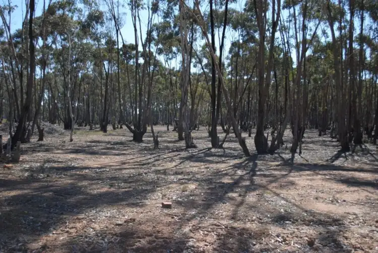 Second view of Homely land listing, 59 Palmer Road, Maryborough VIC 3465