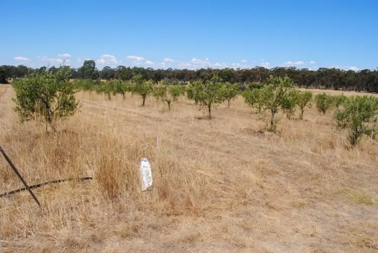 Seventh view of Homely rural property listing, 50 Scotts Road, Talbot VIC 3371