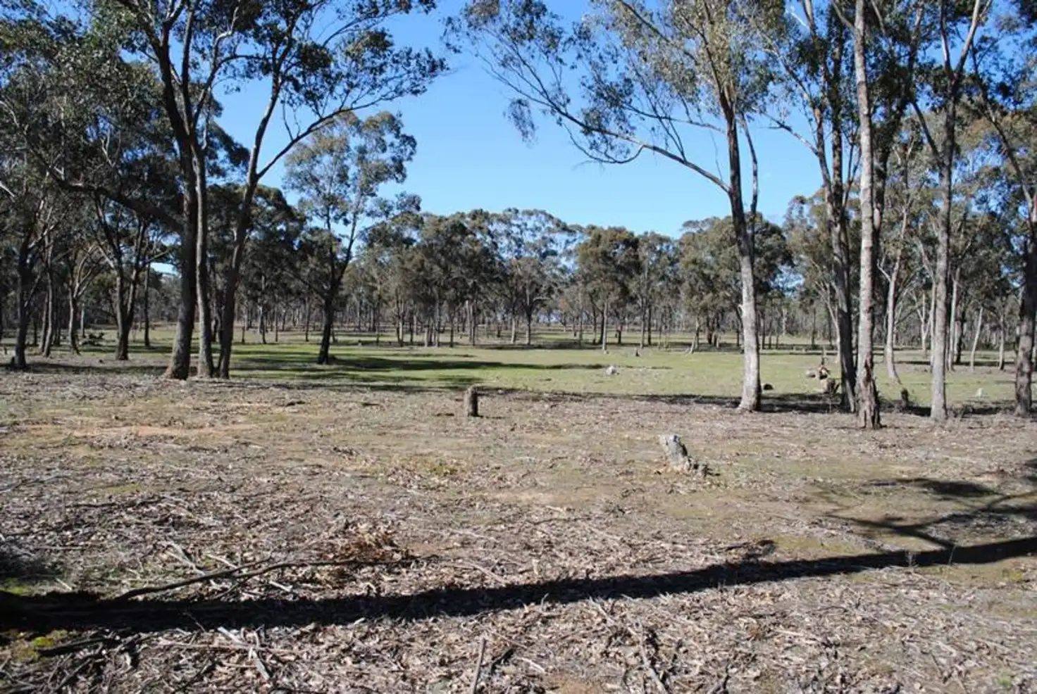 Main view of Homely rural property listing, 0 Off Quarry Track Road, Talbot VIC 3371