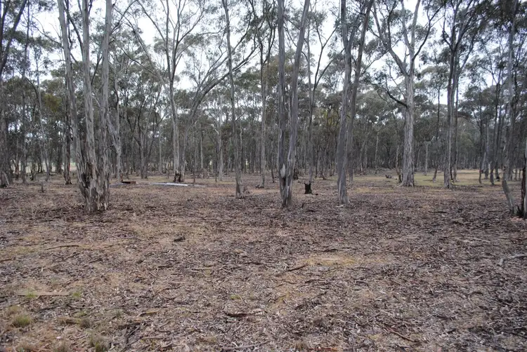 Fourth view of Homely rural property listing, 120 Nuggetty Gully Road, Talbot VIC 3371