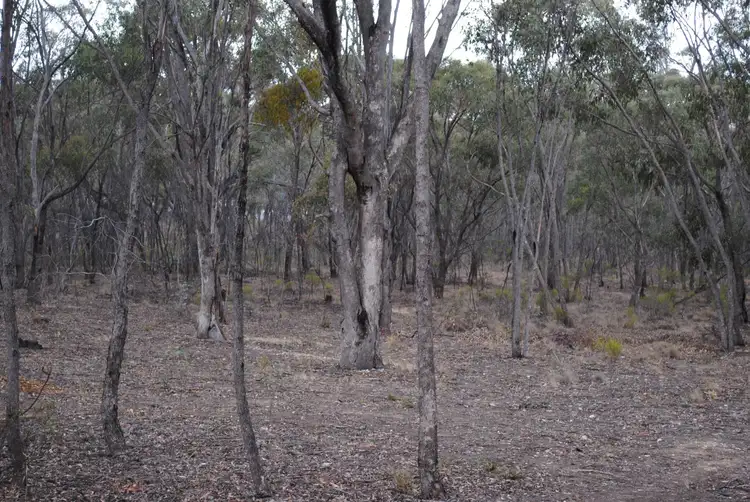 Sixth view of Homely land listing, 45 Long Gully Lane, Talbot VIC 3371